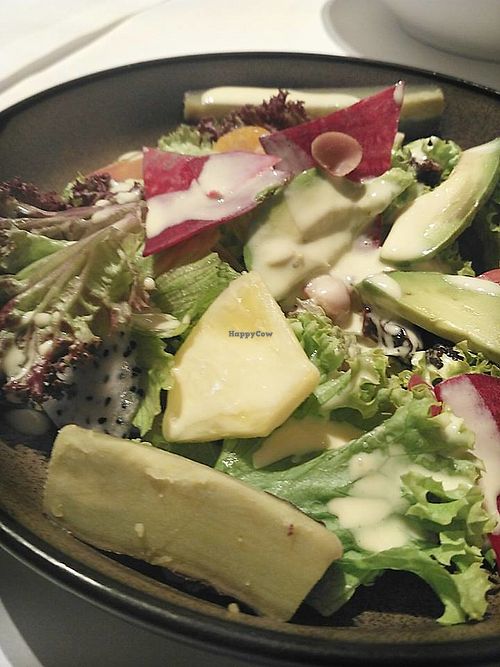 Energized Salad with Avocado & Macadamia,  at Sufood 舒果 in Central Singapore
