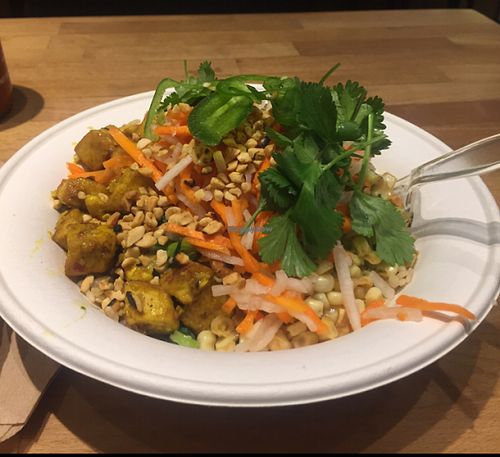 vegan bowl with brown rice and tofu and green curry and everything vegan at Zao Asian Cafe in Salt Lake City