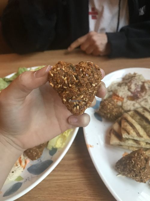 Heart Falafels. 💙 at Heart of Jerusalem Cafe in Manitou Springs