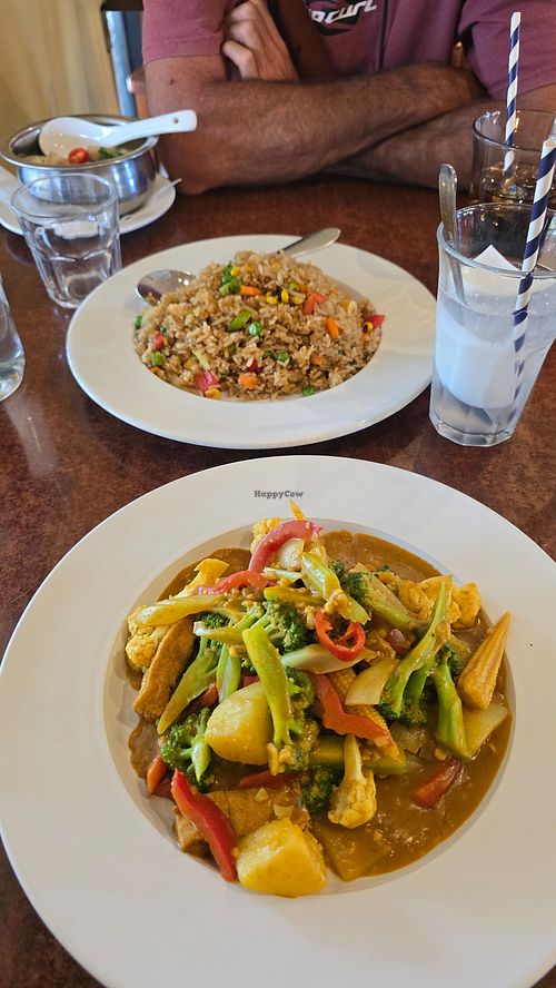Vegetables and tofu in Curry sauce at Red Breeze Restaurant in Pilbara