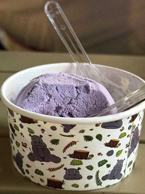 Vegan ice cream   at Helo’s in Louisiana