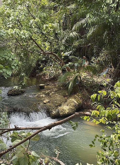 Get ready for a refreshing swim in our beautiful waterfall! at MediJungle - Waterfall Restaurant, Bakery & Kosher in Chang Wat Krabi