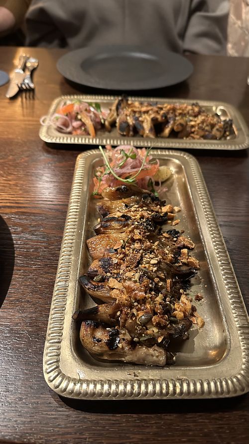 Oyster mushrooms   at Dood in Newcastle Upon Tyne