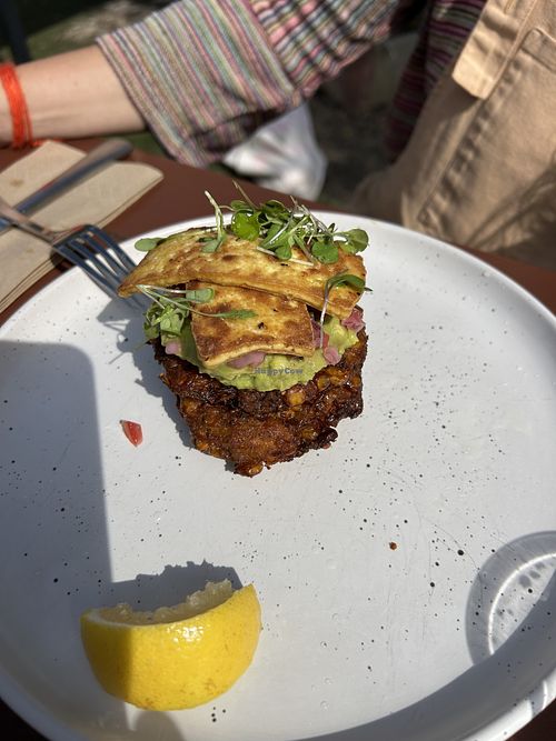 Zucchini fritters   at Beans and Beers Torquay in Torquay