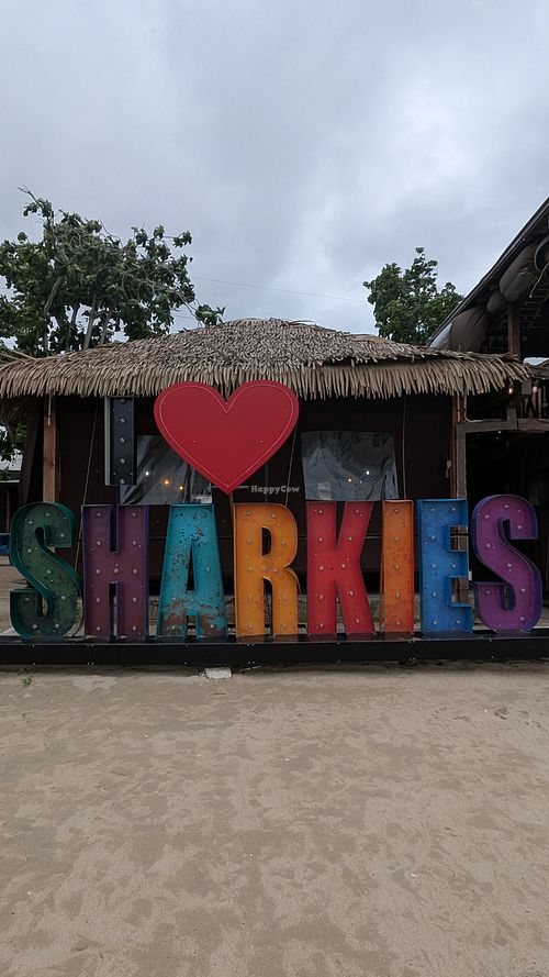 Great vibes! at Sharkies Seafood Restaurant in St Anns Bay