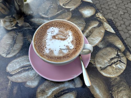 Vegan Schokoccino with a 🦕 at Kaffeerösterei Tesorito in Saarbrucken