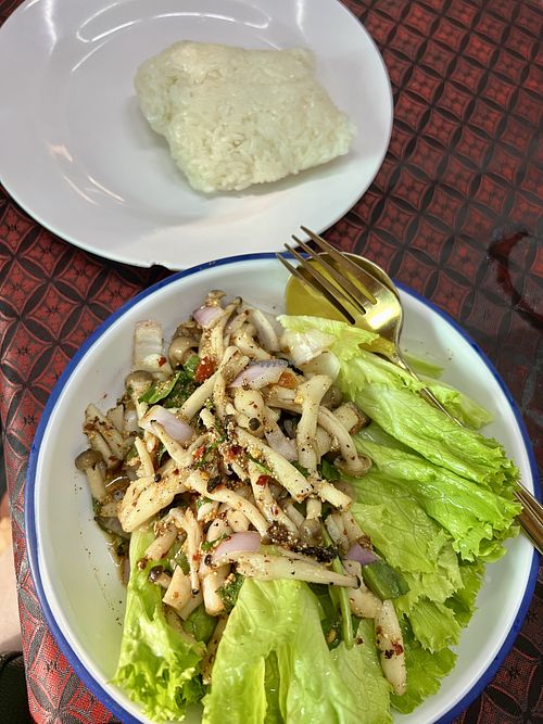 Larb straw mushrooms and sticky rice   at Auntie Tim's Pork Leg Rice in Bangkok