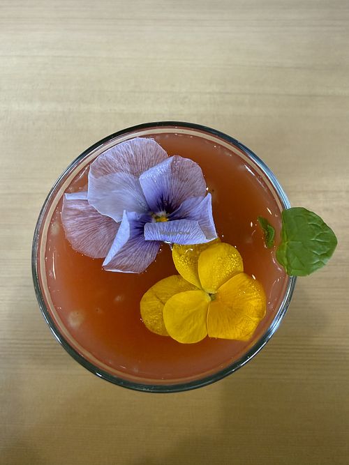 Blood orange kiwi juice  at Vegan Nation in Fujikawaguchiko