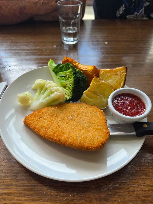 Vegan schnitzel, tomato sauce, plain steamed veg. at Cowboys Leagues Club in Townsville