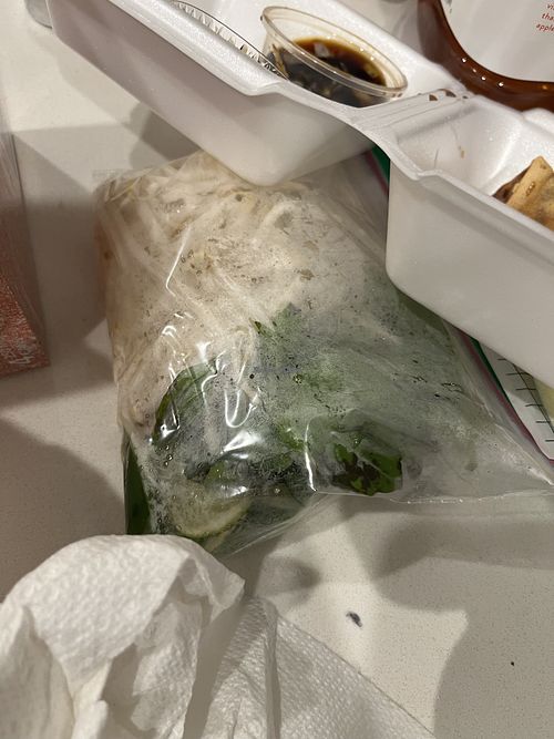 Veg for to go pho  at Hot Pho in Hickory