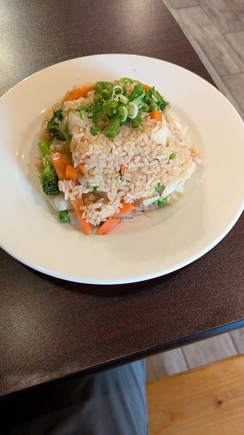Veggie Fried Rice at Bamboo House Restaurant in Euless