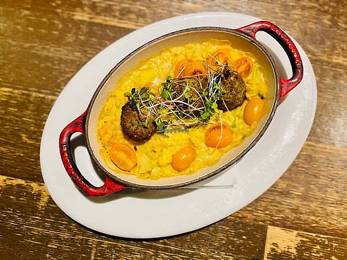 Falafel with rice and curry sauce (vegan)  at Brussels Bistro in Laguna Beach