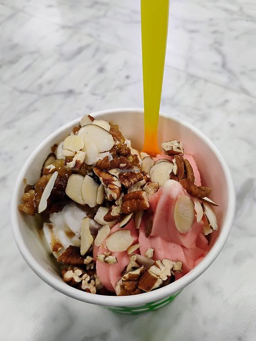 Mine at Cold Snap Frozen Yogurt in Mobile