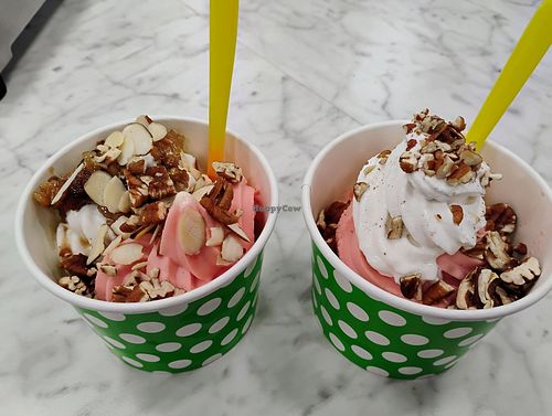 Delicious at Cold Snap Frozen Yogurt in Mobile