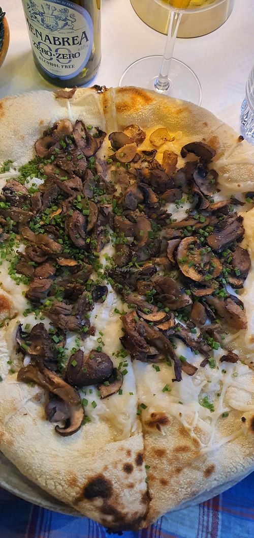Mushrooms pizza at Regio pizza Helsingborg in Helsingborg