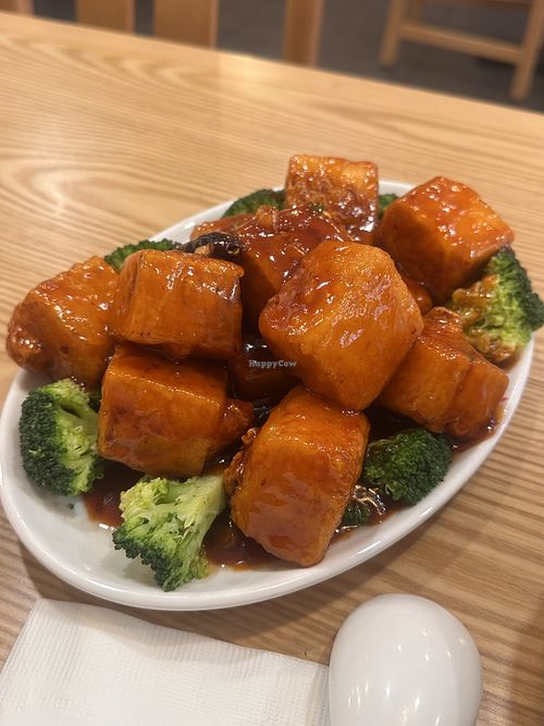 general tso tofu  at Luscious Dumplings in Philadelphia