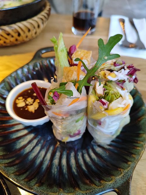 Summer rolls at Pho Restaurant Berlin - Moabit in Berlin