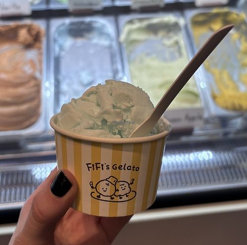 salted coconut single scoop  at Fifi's Gelato in Auckland