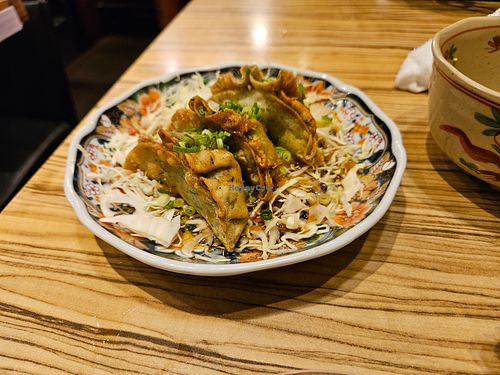 Vegan gyoza at Shinjuku Hikeshi Gyoza in Tokyo