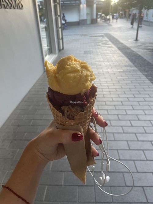 mango passionfruit sorbet, blackberry sorbet, chocolate boysenberry biscuit  at Duck Island Ice Cream - Beach Street in Queenstown