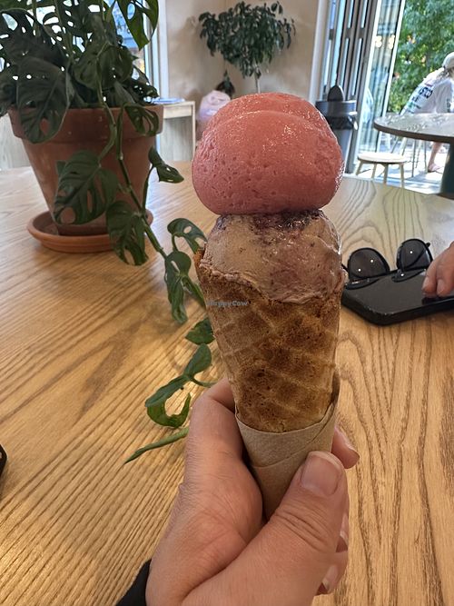 The gluten free cone was crisp and tasty   at Duck Island Ice Cream - Beach Street in Queenstown