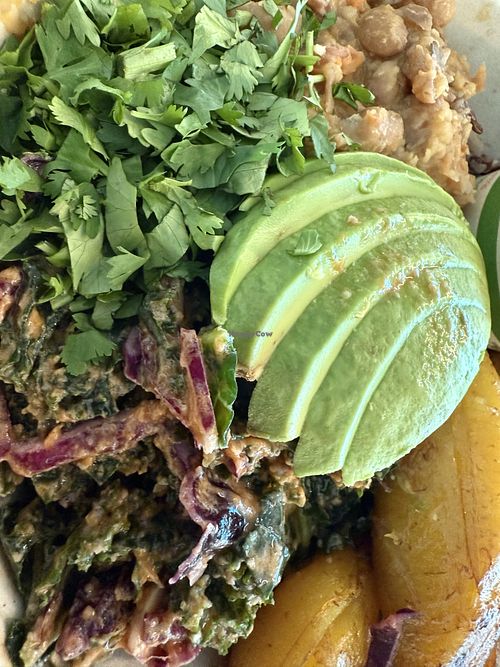 Bowl   at Kitava Kitchen in San Francisco