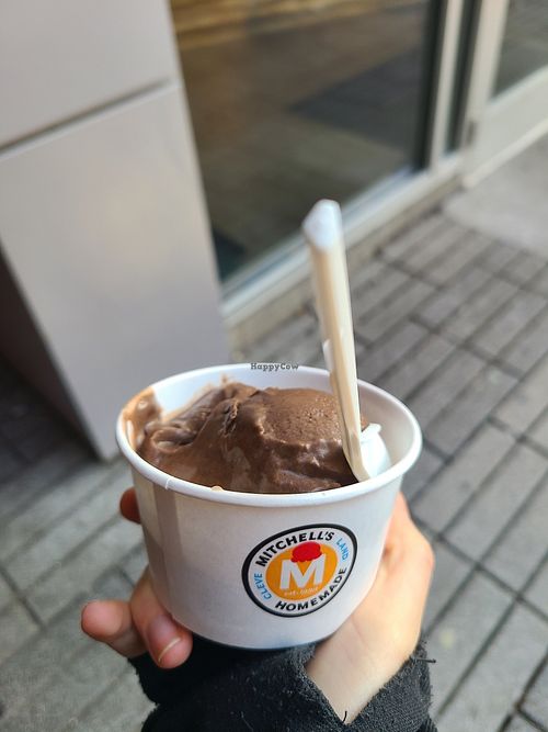 vegan chocolate cookie butter at Mitchell's Ice Cream (Uptown Shop) in Cleveland