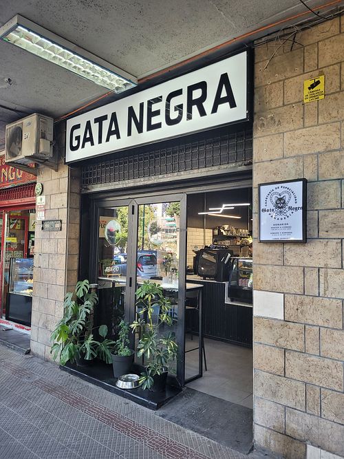 Cafeteria de especialidad at Cafetería y Panadería Gata Negra in Santiago