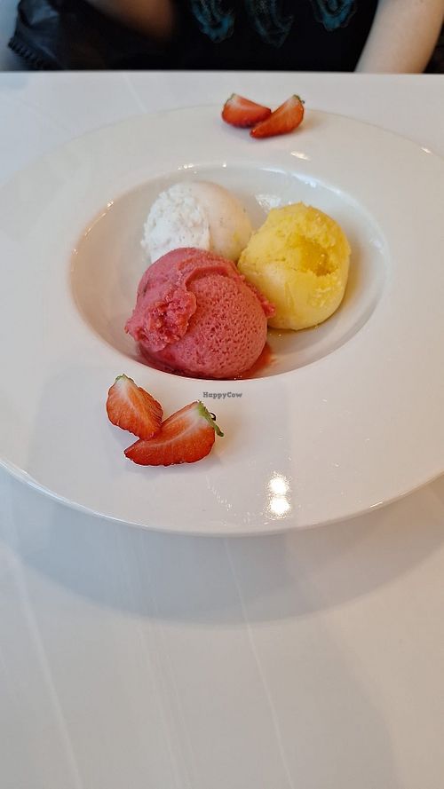 Vegan vanilla gelato, strawberry and mango sorbet at Haute Dolci Leeds in Leeds