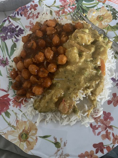 Chloe masala and veg korma made with coconut milk, and rice    at Curry Lounge Indo Chinese Cuisine in Galveston