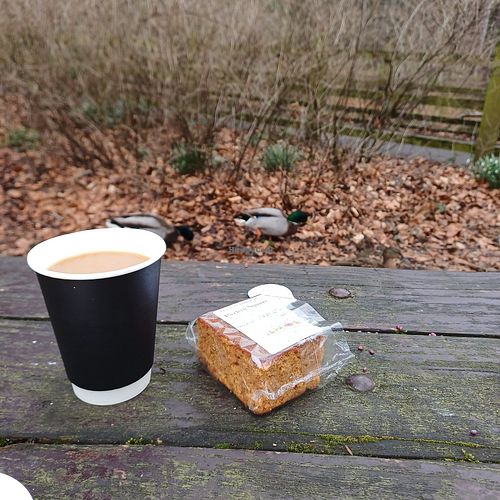 Coffee and cake with added ducks at Refreshment Kiosk in Hope Valley