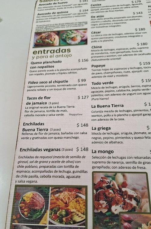 Hay enchiladas veganas y tacos de jamaica,  en el menú 🙌🏻 at La Buena Tierra in Mexico City