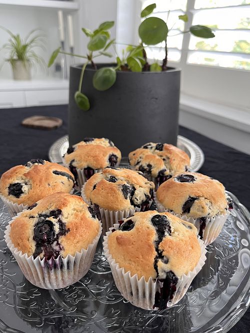 Blueberry muffins   at London Vegan Host in North London