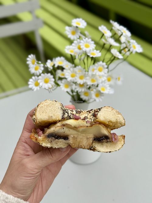Truffle melt with a whole piece of flat mushroom!! 🍄‍🟫   at Lumen Alley Coffee & Bagels in South Yarra