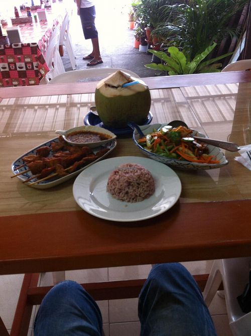 Veggie Chicken Satay, Veggie Duck Salad, Coconut and brown rice... The perfect lunch!!! So delicious!!! at Mea Nuu Vegetarian Food in Pattaya
