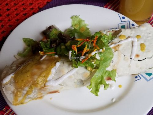 Bean wrap meal of the day at Espiritu Libre in Medellin
