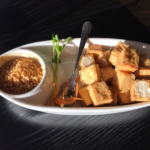 fried tofu with peanut sauce at Vida's Thai Food in Homer