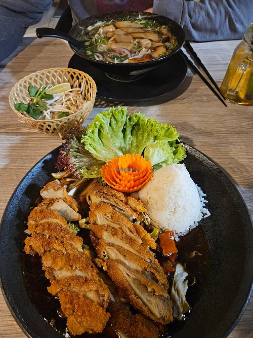 Vegan Duck, Sehr Lecker! at Viet Phat Auch Vegan in Landstuhl