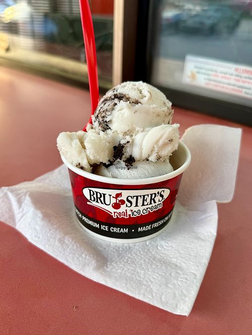 Cookies n' Cream w/Oreo Vegan Ice Cream at Bruster's Real Ice Cream - Sandy Springs in Sandy Springs