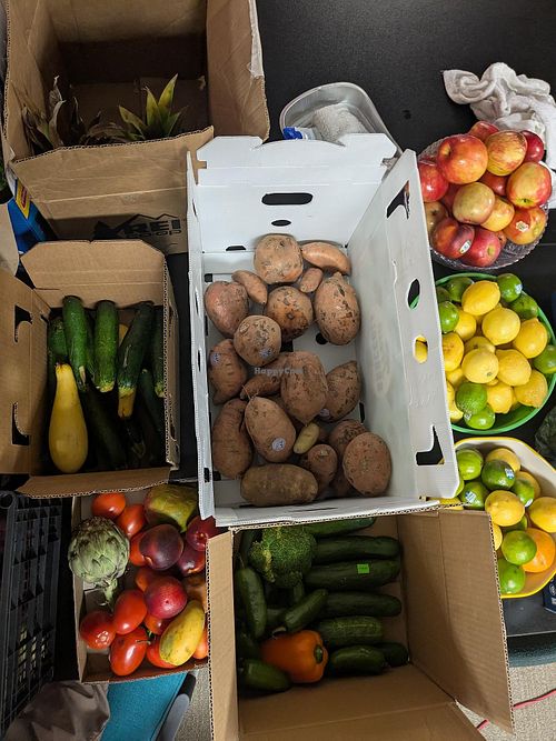 Donated produce  at Food Not Bombs Raleigh in Raleigh