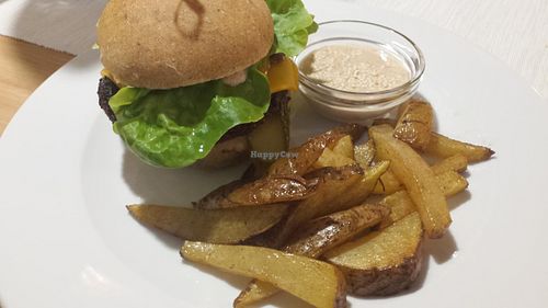 burger: pattie is made from veggies; not great fries at Veggie Point in Prague