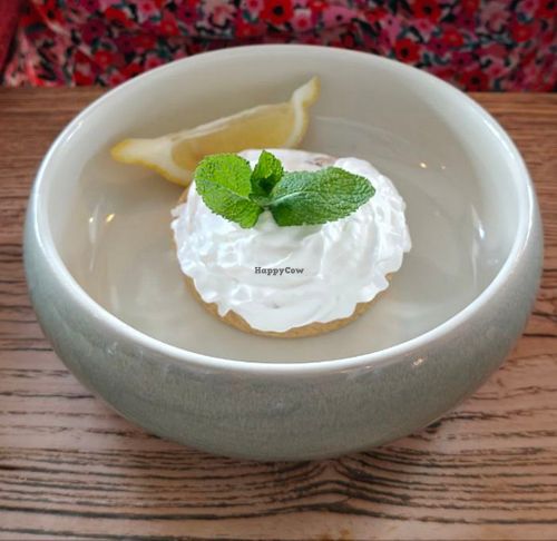 Lemon tart with vegan squirty cream at The Loft in Sidmouth