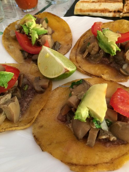 tacos at La Heladeria Mexicana in Barcelona