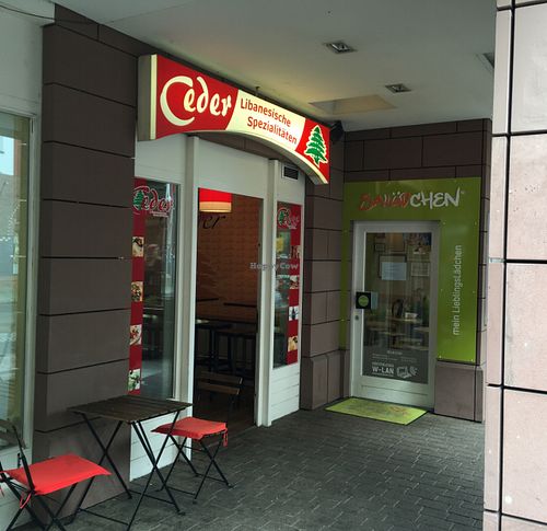 outside at Ceder in Marburg