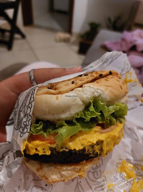 Hambuerguer vegano de soja at CariBurger in Sao Joao Del Rei