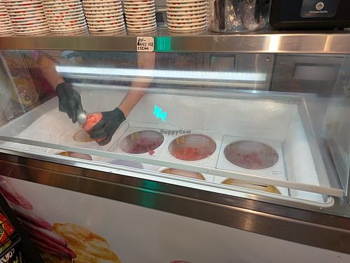 Non dairy ice cream section at La Michoacana Artisan in Moab