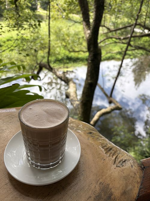Rose cacao with almond milk   at Crystal Creek Estate Cafe and Nursery in Crystal Creek