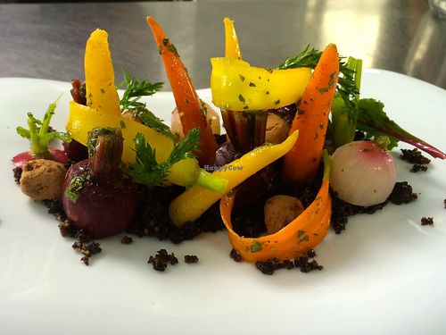 Baby Vegetables in the Garden at Harvey's @ The Henderson in Hendersonville
