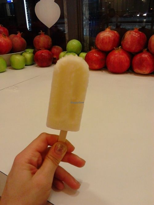 Amazing vegan lollies! at Tamara - Ben Yehuda St in Tel Aviv