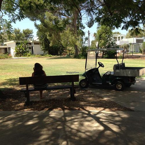 Kibbutz grounds at Mitzpe Alummot in Kibbutz Alummot